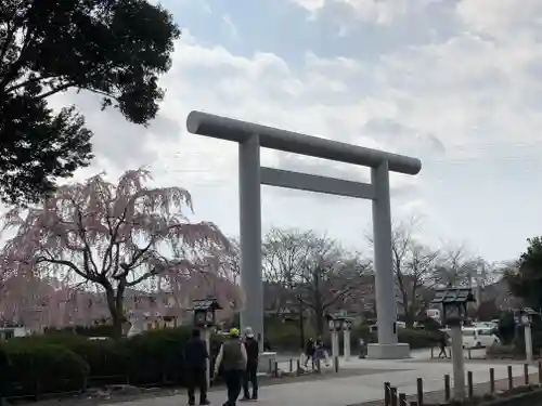 櫻木神社の鳥居