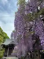 大神宮(福岡県)