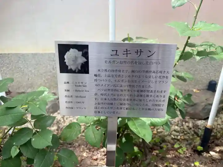 五大堂同聚院の{uncategorized: "未分類", other: "その他", undefined: "問題あり", building: "その他建物", grave: "お墓", sacred_gate: "鳥居", guardian: "狛犬", statue: "像", buddha: "仏像", history: "歴史", nature: "自然", garden: "庭園", animal: "動物", pagoda: "塔", temizu: "手水舎", mountain_gate: "山門・神門", sanctuary: "本殿・本堂", subordinate: "末社・摂社", art: "芸術", scenery: "景色", jizo: "地蔵", ema: "絵馬", goshuin: "御朱印", omikuji: "おみくじ", items: "授与品その他", amulet: "お守り", goshuincho: "御朱印帳", eats: "食事", festival: "お祭り", votive_dance: "神楽", shichigosan: "七五三参", wedding: "結婚式", experience: "体験その他", initially: "初詣", around: "周辺", anti_infection: "感染症対策"}