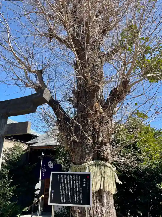 筑土八幡神社(東京都)