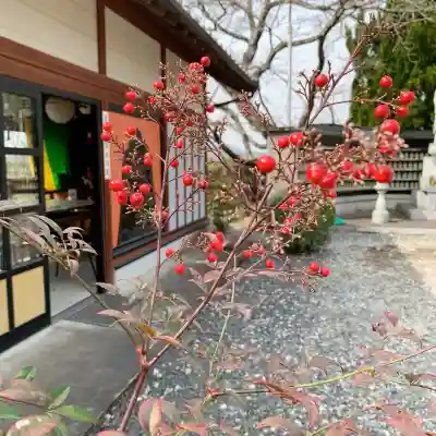 興禅寺の{uncategorized: "未分類", other: "その他", undefined: "問題あり", building: "その他建物", grave: "お墓", sacred_gate: "鳥居", guardian: "狛犬", statue: "像", buddha: "仏像", history: "歴史", nature: "自然", garden: "庭園", animal: "動物", pagoda: "塔", temizu: "手水舎", mountain_gate: "山門・神門", sanctuary: "本殿・本堂", subordinate: "末社・摂社", art: "芸術", scenery: "景色", jizo: "地蔵", ema: "絵馬", goshuin: "御朱印", omikuji: "おみくじ", items: "授与品その他", amulet: "お守り", goshuincho: "御朱印帳", eats: "食事", festival: "お祭り", votive_dance: "神楽", shichigosan: "七五三参", wedding: "結婚式", experience: "体験その他", initially: "初詣", around: "周辺", anti_infection: "感染症対策"}