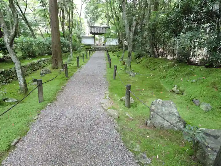 地蔵院(京都府)