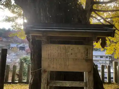 素盞雄神社の歴史