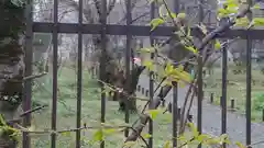 平野神社の自然