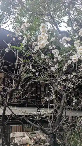 京都大神宮(京都府)