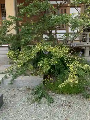 清源院(神奈川県)