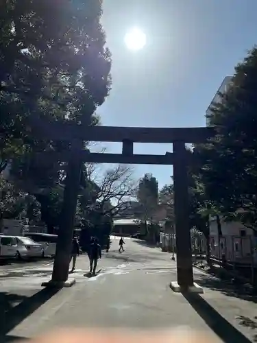 東郷神社の鳥居