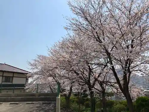 原江寺(山口県)