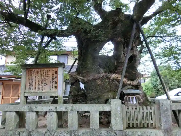 中山神社の自然