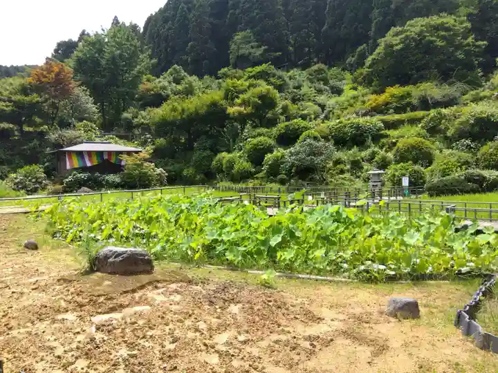 大安禅寺(福井県)