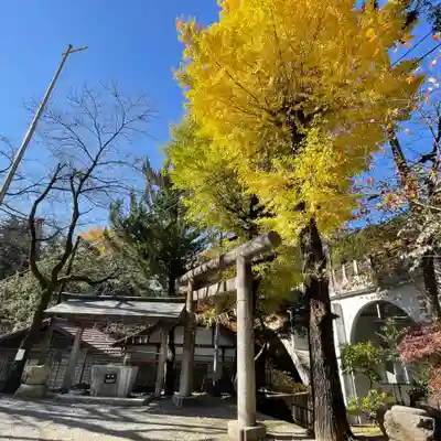 奥氷川神社(東京都)
