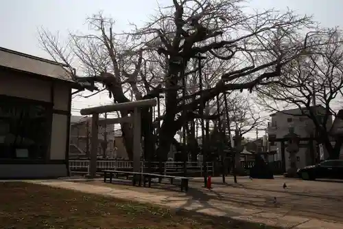 豊受神社(千葉県)