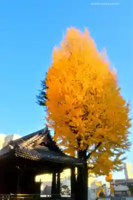 根津神社(東京都)