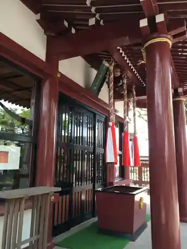 鹿児島神社(鹿児島県)