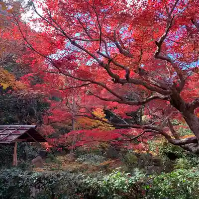 厭離庵(京都府)