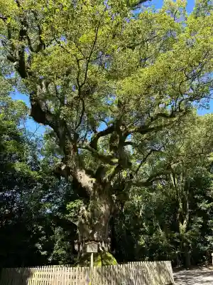熱田神宮(愛知県)