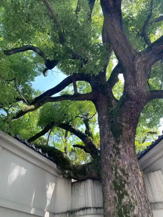 富岡八幡宮(東京都)