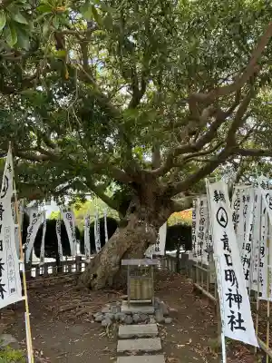 龍口明神社の{uncategorized: "未分類", other: "その他", undefined: "問題あり", building: "その他建物", grave: "お墓", sacred_gate: "鳥居", guardian: "狛犬", statue: "像", buddha: "仏像", history: "歴史", nature: "自然", garden: "庭園", animal: "動物", pagoda: "塔", temizu: "手水舎", mountain_gate: "山門・神門", sanctuary: "本殿・本堂", subordinate: "末社・摂社", art: "芸術", scenery: "景色", jizo: "地蔵", ema: "絵馬", goshuin: "御朱印", omikuji: "おみくじ", items: "授与品その他", amulet: "お守り", goshuincho: "御朱印帳", eats: "食事", festival: "お祭り", votive_dance: "神楽", shichigosan: "七五三参", wedding: "結婚式", experience: "体験その他", initially: "初詣", around: "周辺", anti_infection: "感染症対策"}