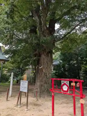 長田神社(鳥取県)