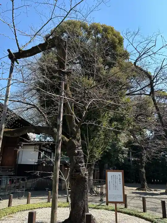 靖國神社(東京都)