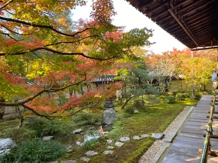 禅林寺(永観堂)(京都府)