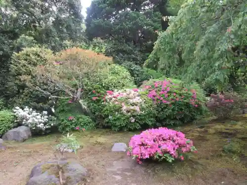 海蔵寺の庭園