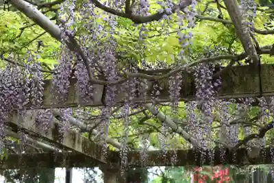 立木神社(滋賀県)
