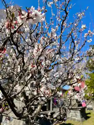 伊達神社(北海道)
