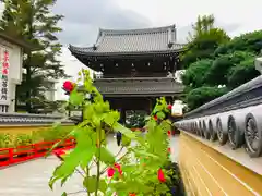 中山寺(兵庫県)