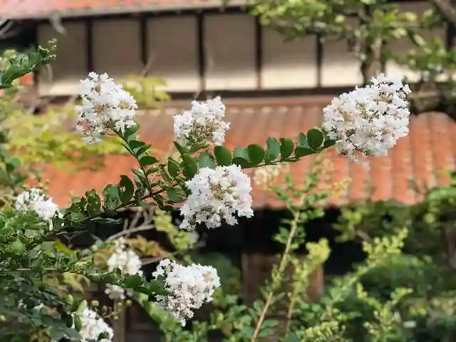 木舟山 順教寺の自然