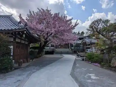 感通寺(東京都)