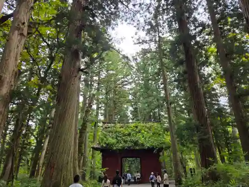戸隠神社九頭龍社(長野県)
