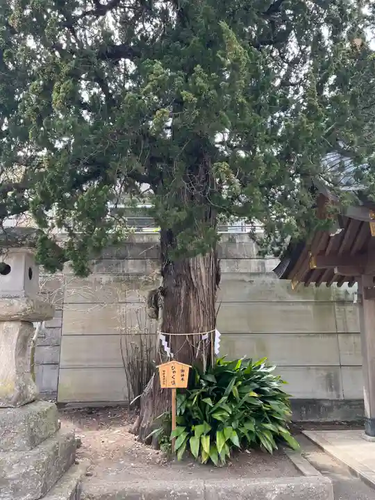 下田八幡神社(静岡県)