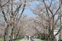 釈迦堂(新潟県)