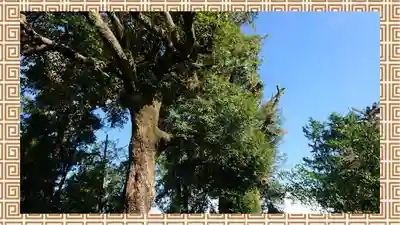 鶴峯八幡宮(茨城県)