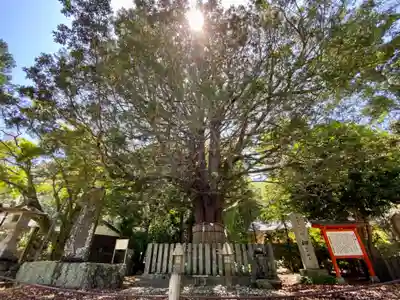 熊野速玉大社(和歌山県)