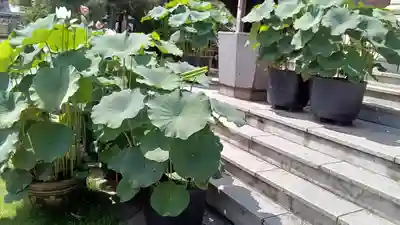 龍泉寺（足利厄除大師）(栃木県)