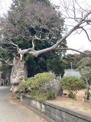 東大社(千葉県)