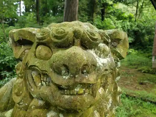 白山神社の狛犬