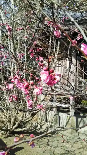 茂原八幡神社の自然