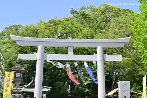 白旗神社の鳥居