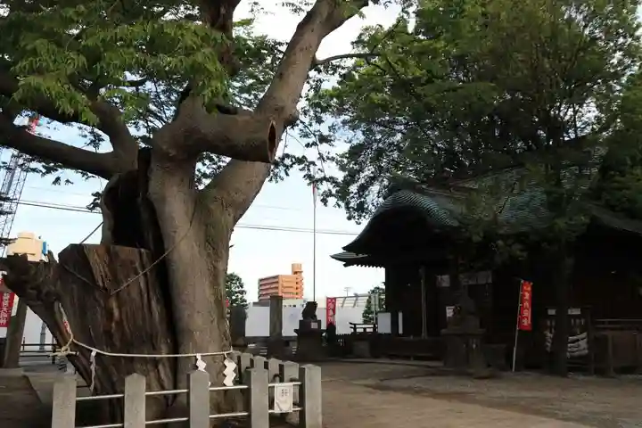 阿邪訶根神社の本殿・本堂