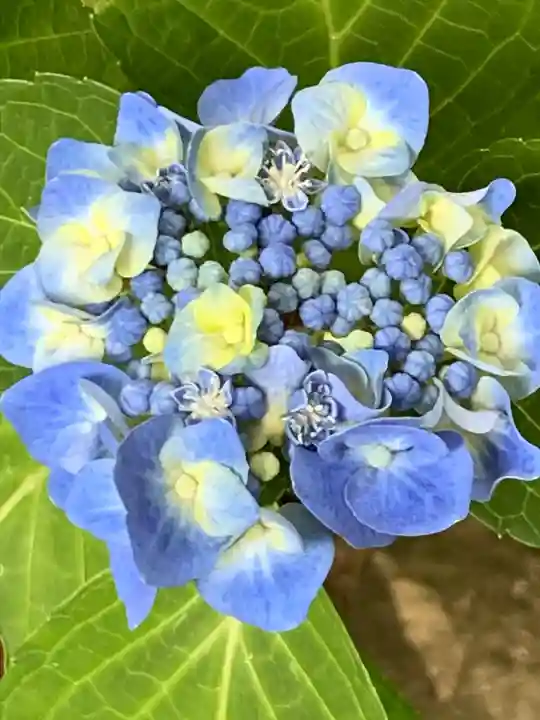 滑川神社 - 仕事と子どもの守り神(福島県)