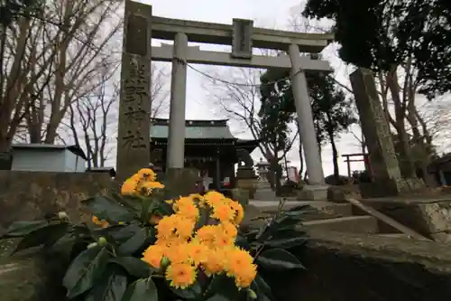 熊野福藏神社の手水