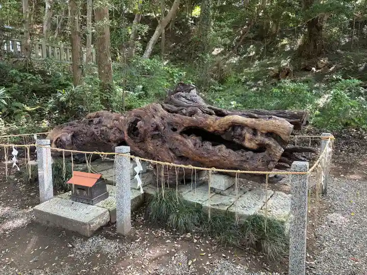 泉神社(茨城県)
