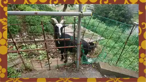 賀茂別雷神社(栃木県)