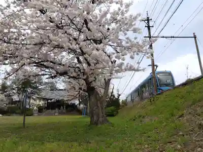 琵琶神社(福井県)