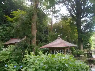 蛇苦止明神(蛇苦止堂)の景色