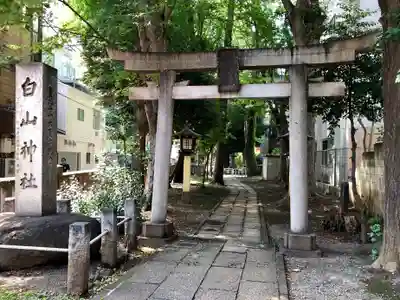 荻窪白山神社の鳥居
