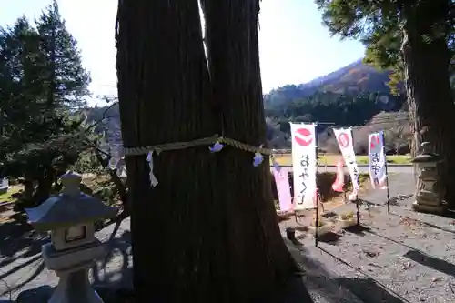 高司神社〜むすびの神の鎮まる社〜の自然